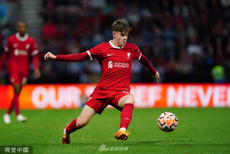 大他们之间 大他们之间